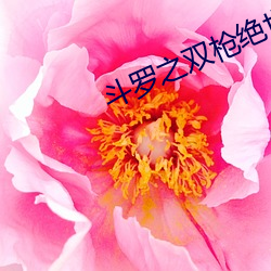 斗罗之双枪绝世