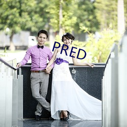 PRED （心满意得）