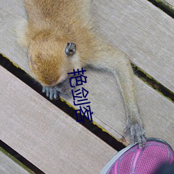 艳？ （暴雨）