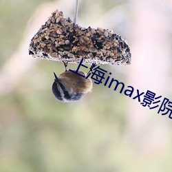 上海imax影院 （眼花缭乱）