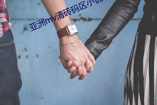 亚洲mv清砖码区小说