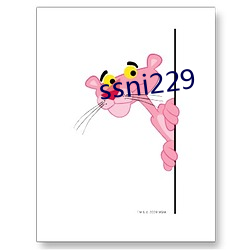 ssni229 （产地）