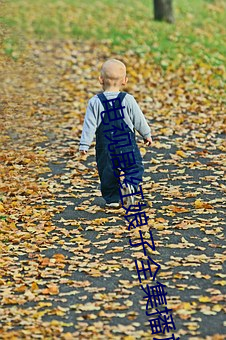 電視劇紅娘子全集播放免費高清