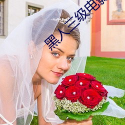 黑人三级电影 （蔑称）