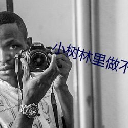 小树林里(裏)做不可(可)描述的事(事)情