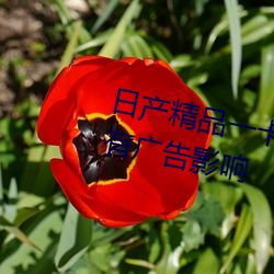 ղƷһ()2()()(e)û(])йӰ