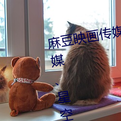麻豆映(映)画传媒、天(天)美传(傳)媒、蜜桃传(傳)媒(媒)、星空(空)传(傳)媒(媒)简介