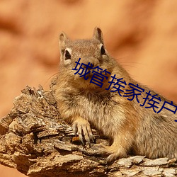 城管挨家挨戶撕春聯