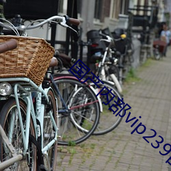 国产内部vip239自带氏巾 （遗臭万年）