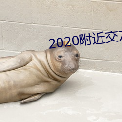 2020附近交友软件