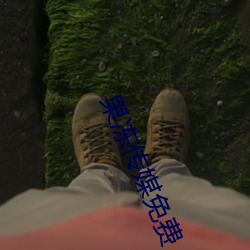 果冻传媒(媒)免费