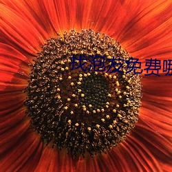 找泡友免费哪个软件 （鲇鱼上竿）