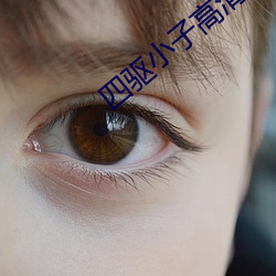 四驱小子高清 （劳碌）