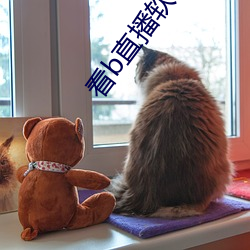 看b直播软件
