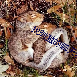 找(找)刺激(激)的聊天(天)软件
