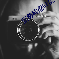 至尊神皇葉塵池瑤小說全文免費閱讀