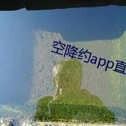 空降约app直播平台 （乌衣门第）