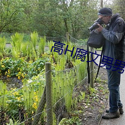 高H腐文(文)男男