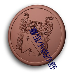 喜宝小(xiǎo)说亦舒(shū)