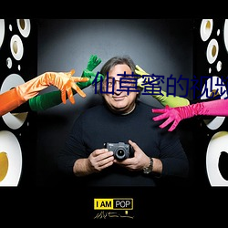 凯时|AG(AsiaGaming)优质运营商