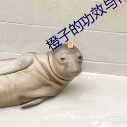 橙子的功效與作用
