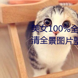 Ů100%ȫͼƬ ƯŮ˸ȫͼƬֽ(2)