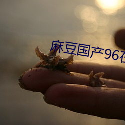 麻豆国产96在线(xiàn)
