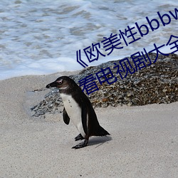 《欧美性bbbwwxx》电视剧免费观看电视剧大全在线观看