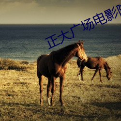 金年会 | 诚信至上金字招牌