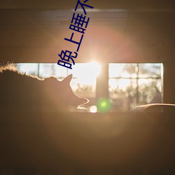 晚(wǎn)上睡不着看点刺(cì)激东西