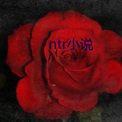 ntrС(xio)˵