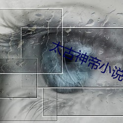 太(tài)古(gǔ)神帝小(xiǎo)说(shuō)