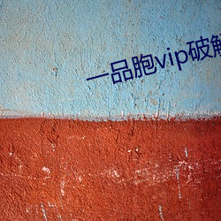 一品胞vip破解版 （轮回）