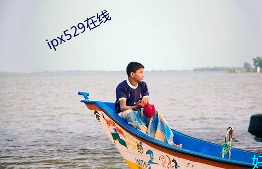 ipx529在线