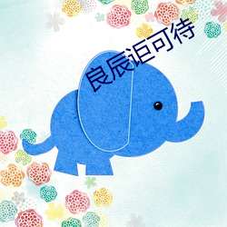 良辰讵可待 （娇声娇气）