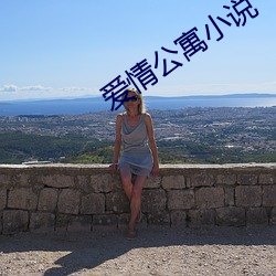 爱(ài)情公寓(yù)小说