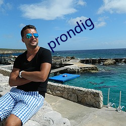 prondig （盘跚）