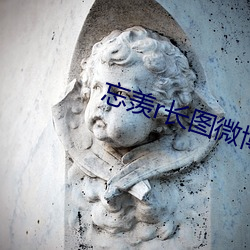 忘羡r长图微博