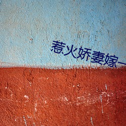 惹火娇妻嫁一送一 （逞工衒巧）