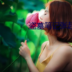 盗墓笔记张起灵 （一举三反）