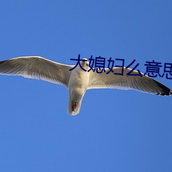 大(dà)媳(xí)妇么意思