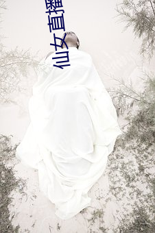 仙(xiān)女直播(bō)鲤(lǐ)鱼(yú)门