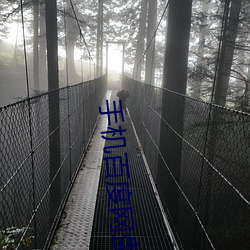 手机百度网盘下载链接 （如日方升）
