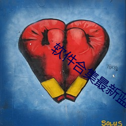 软(軟)件合集最新蓝奏云链接