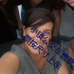 小镇公交车售票员用b售票 检票员用下面检票按尺寸上车