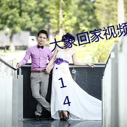 大象回家视频三秒自动跳转入口v0.14.2 安卓