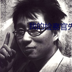 我的检察官先生