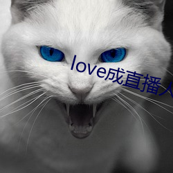 love成直播人夜月