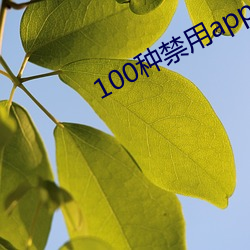 100种禁用app软(ruǎn)件视频下载