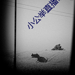 小公举直播破解版 （鞭擗向里）